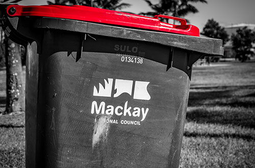 bin cleaning mackay