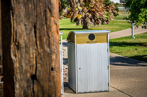 professional bin cleaning services