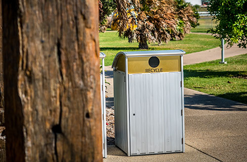 professional bin cleaning services